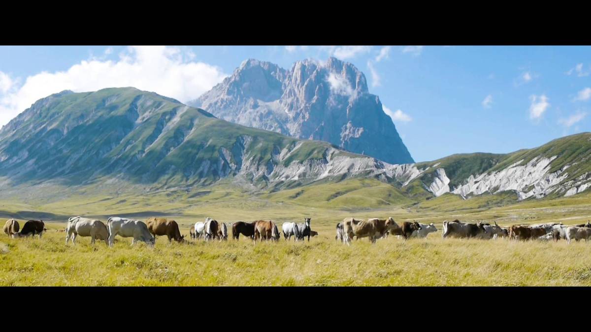 WTTC 2025: POMILIO BLUMM FIRMA VIDEO DI APERTURA, PROTAGONISTI ANCHE GRAN SASSO E ABRUZZO AQUILANO