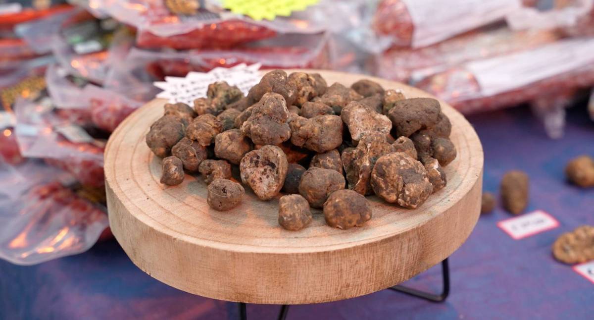 FIERA TARTUFI D’ABRUZZO: VERSO IL BOOM PRESENZE, NELL’ULTIMA GIORNATA CHEF ZONFA E DOCG CASAURIA