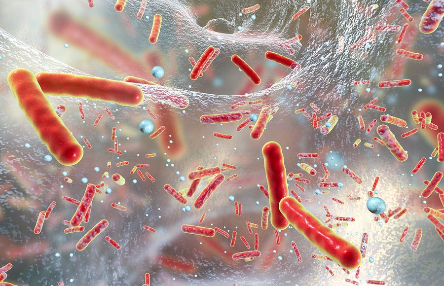 BATTERI RESISTENTI: IN ABRUZZO NASCE UNA RETE REGIONALE PER LA SICUREZZA DELLE CURE