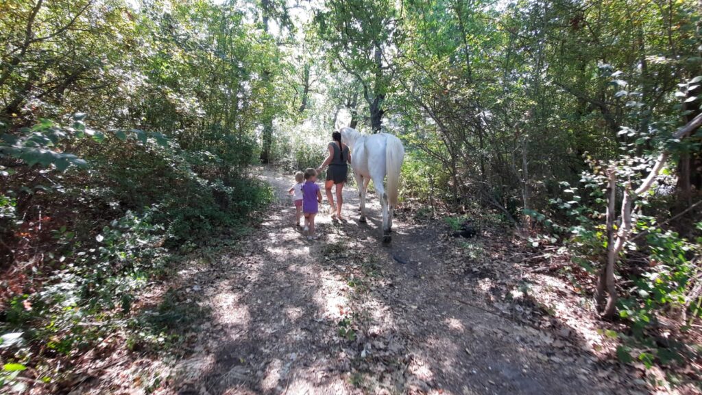 FAMIGLIA NEL BOSCO: L’AVVOCATO, “FALSITA’ NELLA SENTENZA, FAREMO RICORSO”