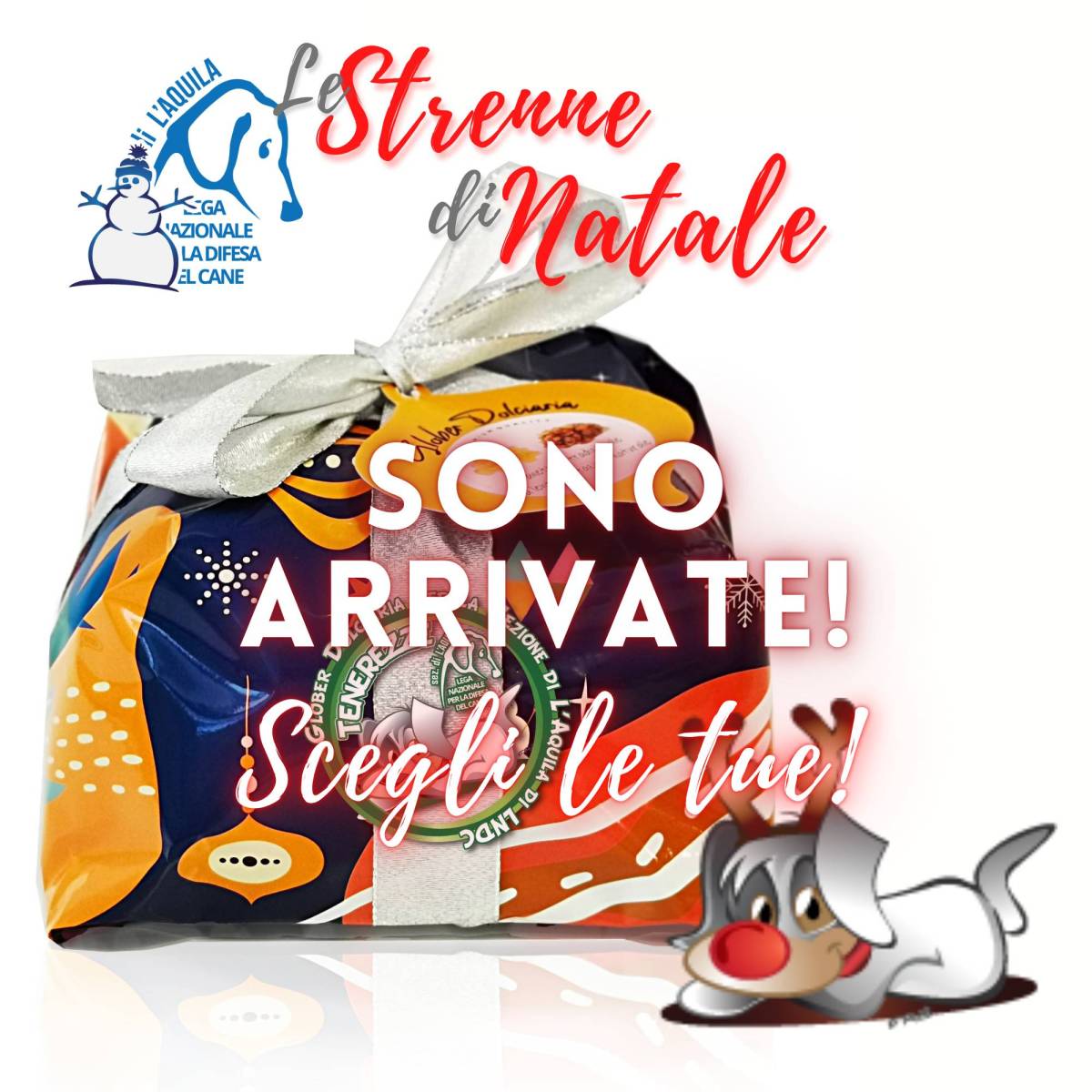 L’AQUILA: “AIUTA IL CANILE CON LE STRENNE DI NATALE”