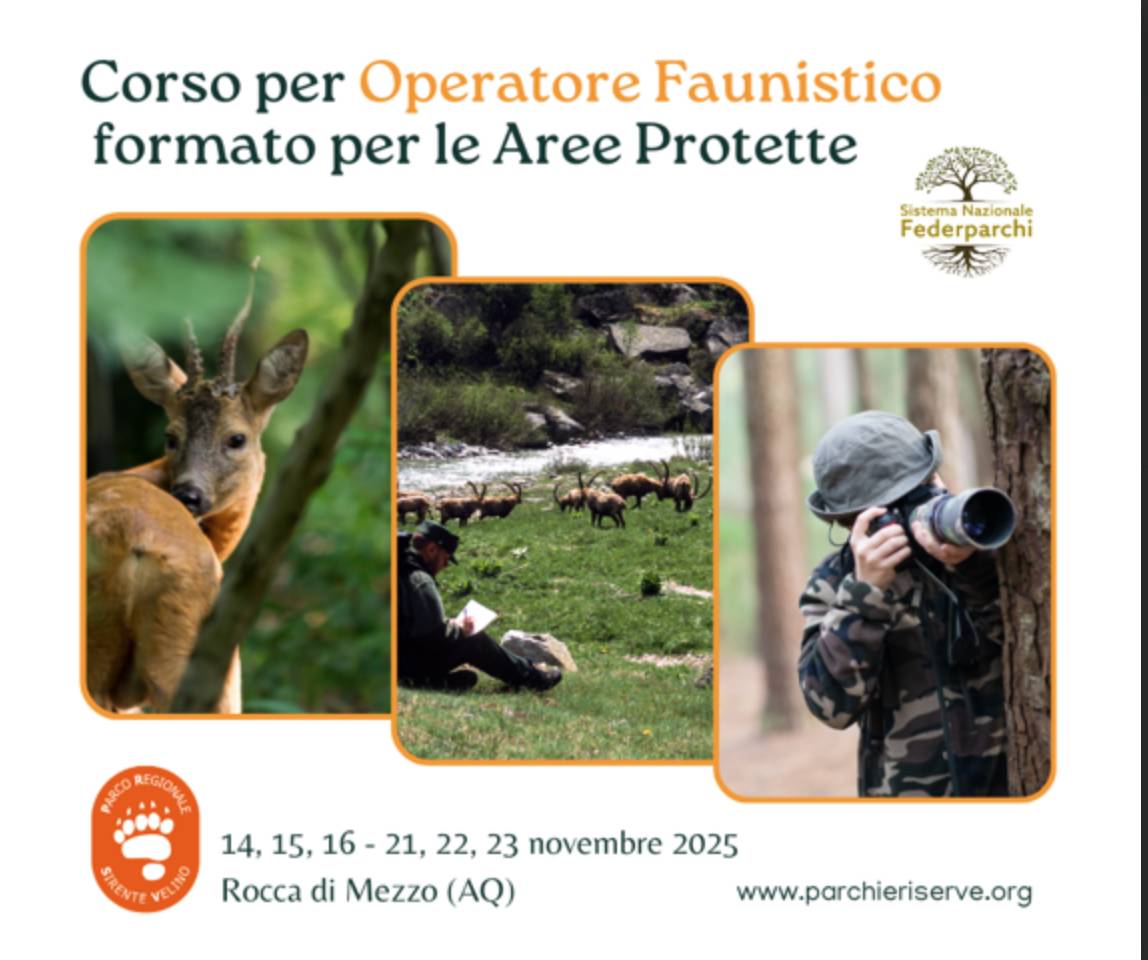 FORMAZIONE E TUTELA AMBIENTALE: A ROCCA DI MEZZO CORSO “OPERATORE FAUNISTICO AREE INTERNE”