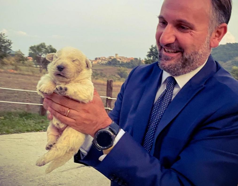 CANE PASTORE ABRUZZESE MAREMMANO: LIRIS, “IL RICONOSCIMENTO UFFICIALE RENDE GIUSTIZIA ALLA REGIONE”