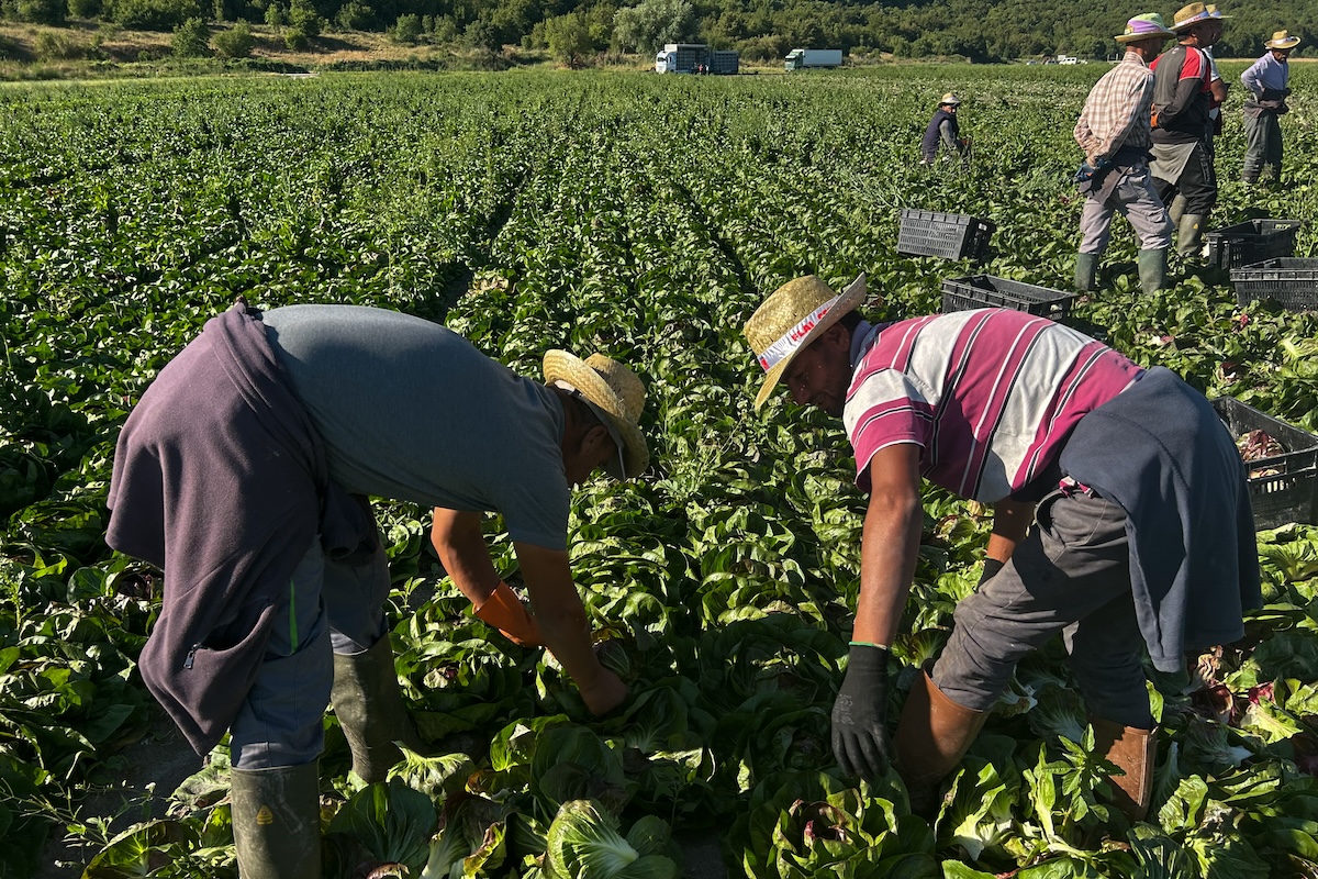TRAFFICO DI STRANIERI NELLA MARSICA: IN CASSAZIONE CONFERMATE NOVE CONDANNE