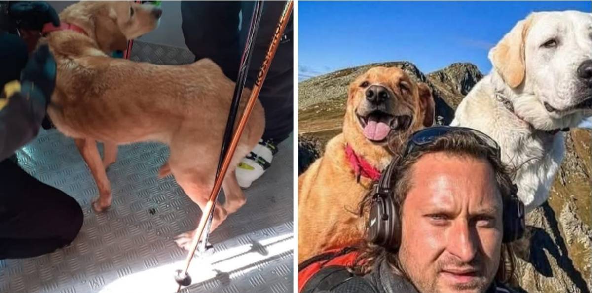 DISPERSO SUL GRAN SASSO: TROVATO VIVO UN CANE, FORSE E’ DELL’ESCURSIONISTA POLACCO