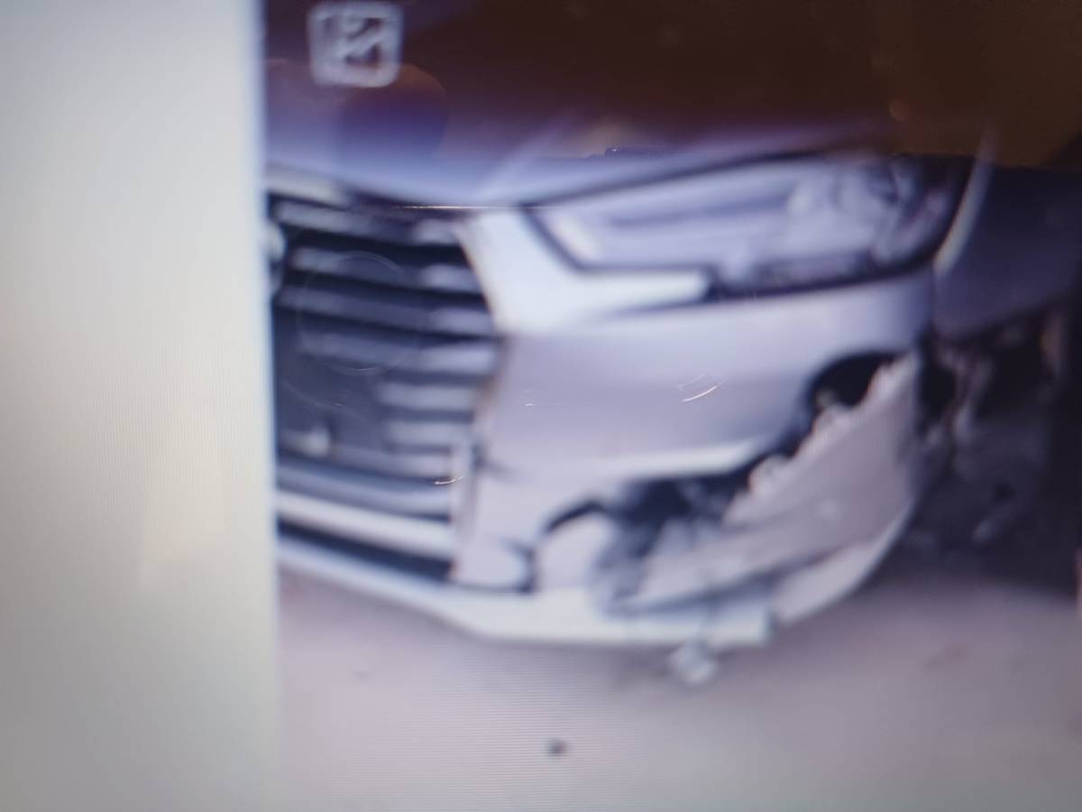 L’AQUILA: AUTO TRAVOLGE LUPO NELLA FRAZIONE DI MONTICCHIO, TRAGEDIA SVENTATA. EPISODIO SIMILE A OCRE