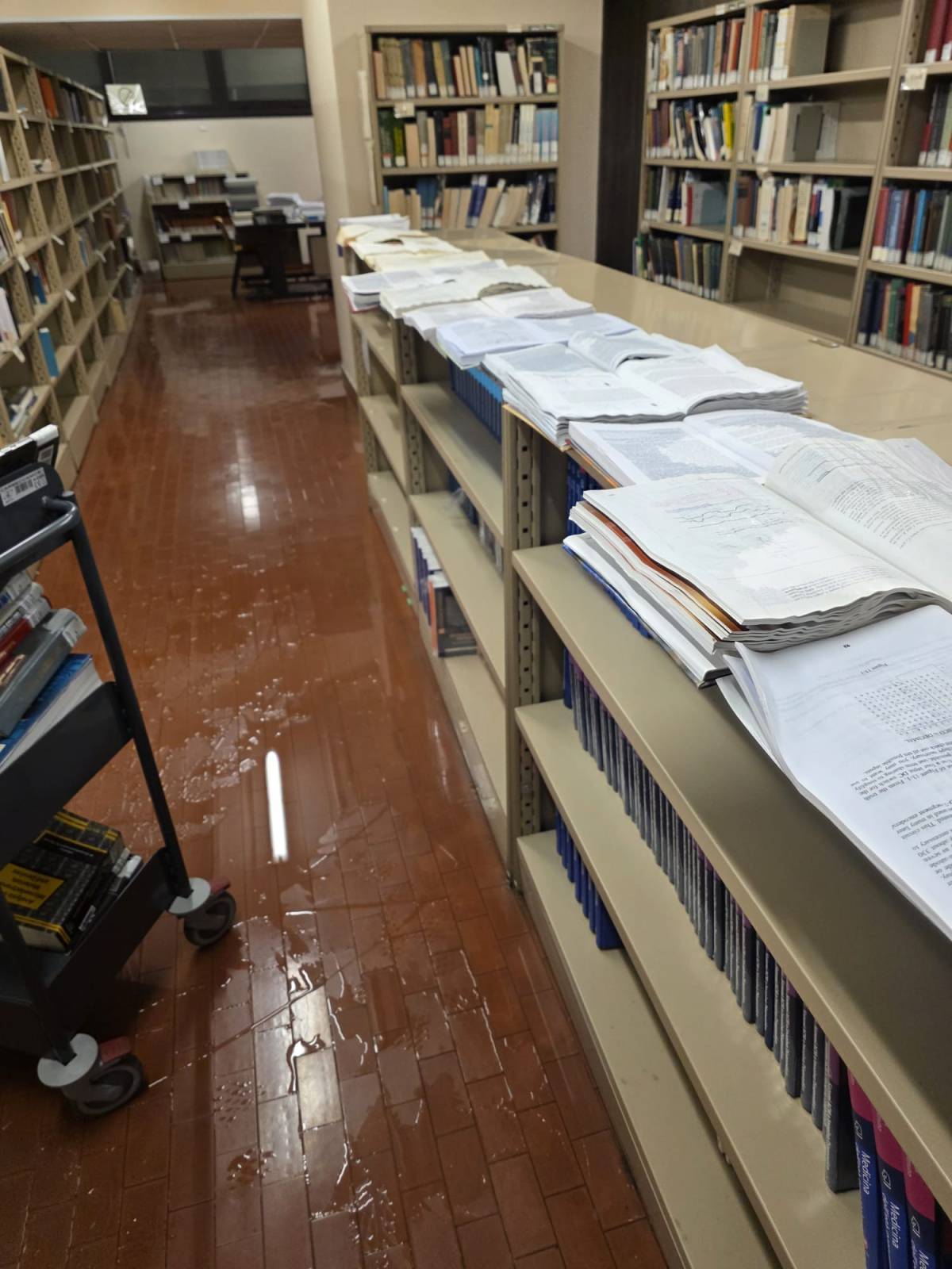 ALLAGAMENTO EDIFICIO COPPITO 1: UNIVAQ, “AL LAVORO PER RIPARARE DANNI, ACCERTAMENTI SU CAUSE”