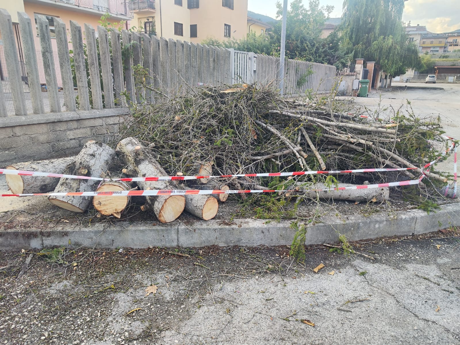 MALTEMPO L’AQUILA: PAURA PER UN ALBERO SRADICATO DAL VENTO A PILE E FOGNA SCOPPIATA A SANT’ELIA