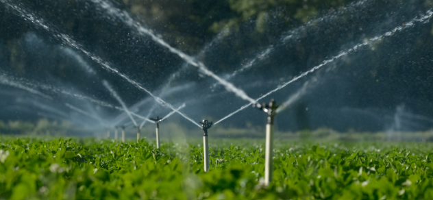 EMERGENZA ACQUA: CIA, “FUTURO COMPARTO IDRICO A UN BIVIO, SERVE RESPONSABILITÀ”